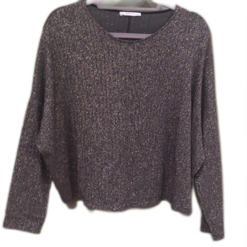 Zara Metallic Ribbed Knit Cropped Long Sleeve Casual Sweater Sz L